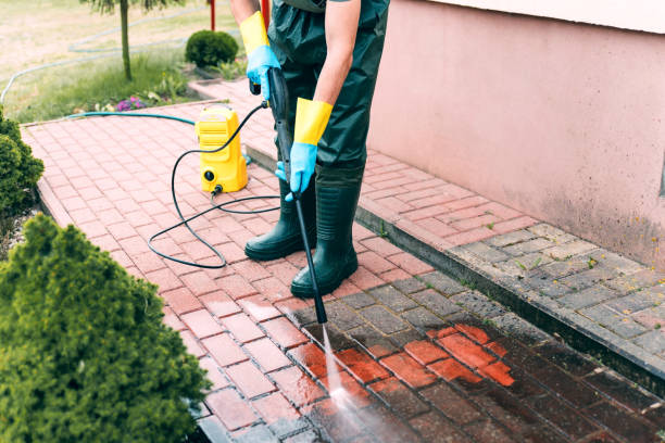 Best Deck Cleaning Services  in Wells, NV