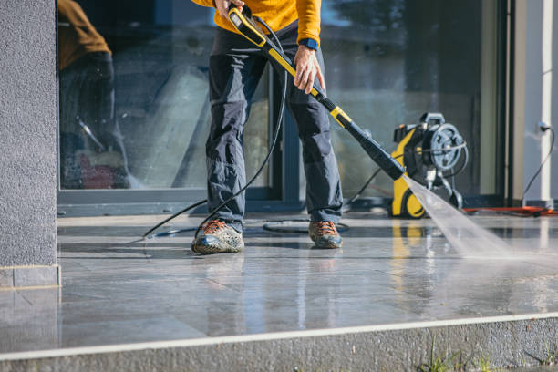 Best Roof Pressure Washing  in Wells, NV