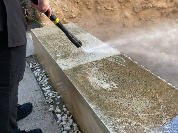 Best Local Pressure Washing Services  in Wells, NV