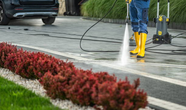 Best Fence Pressure Washing  in Wells, NV
